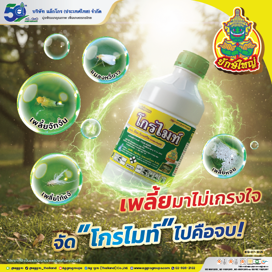 โกรไมท์